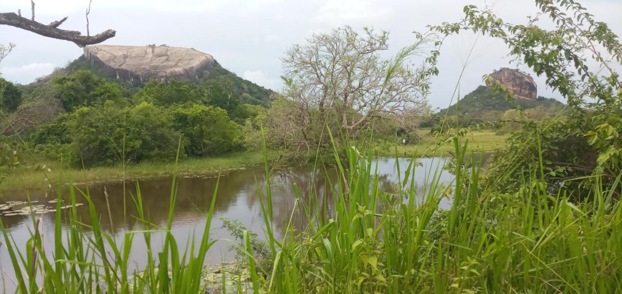 Rock Lake Home Stay Sigiriya Esterno foto
