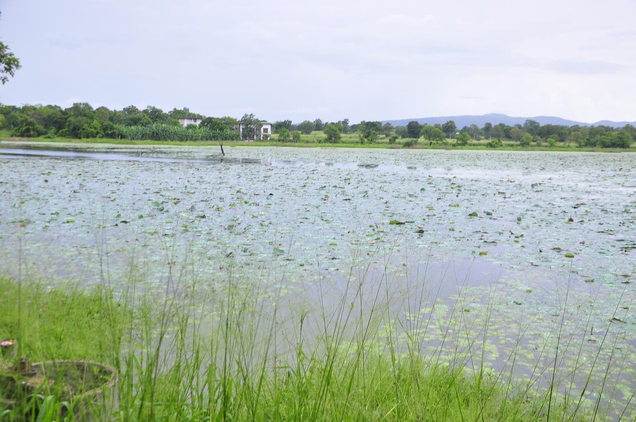 Rock Lake Home Stay Sigiriya Esterno foto