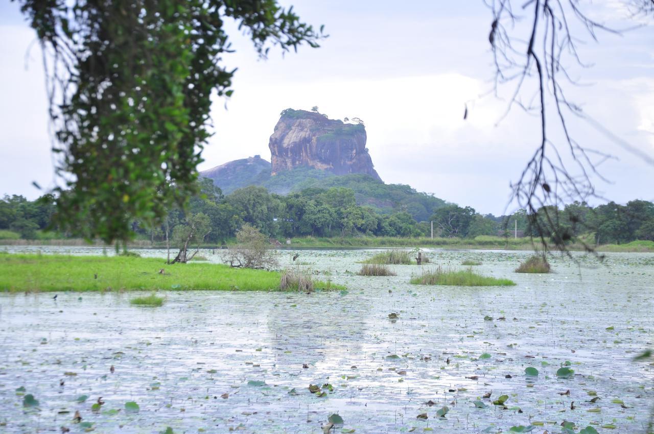 Rock Lake Home Stay Sigiriya Esterno foto