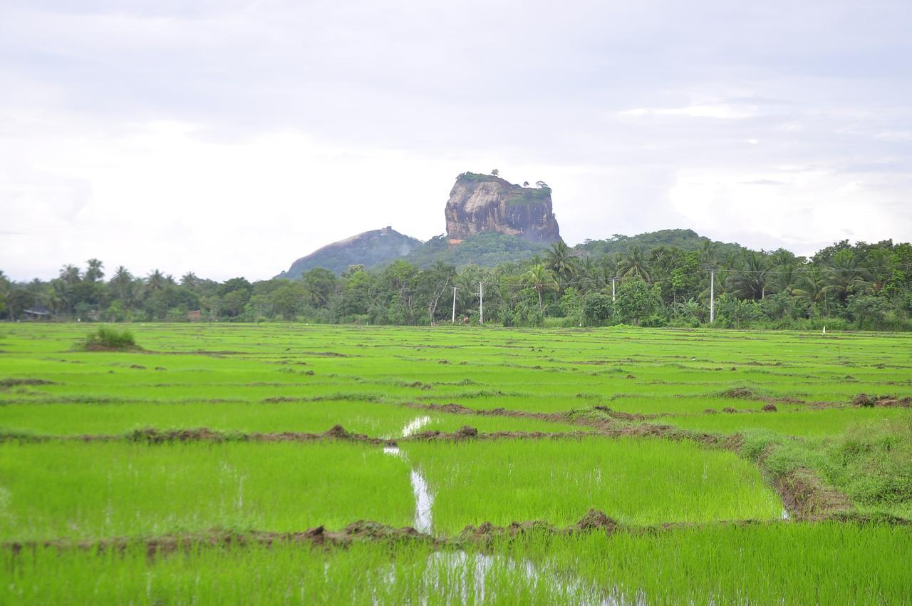 Rock Lake Home Stay Sigiriya Esterno foto