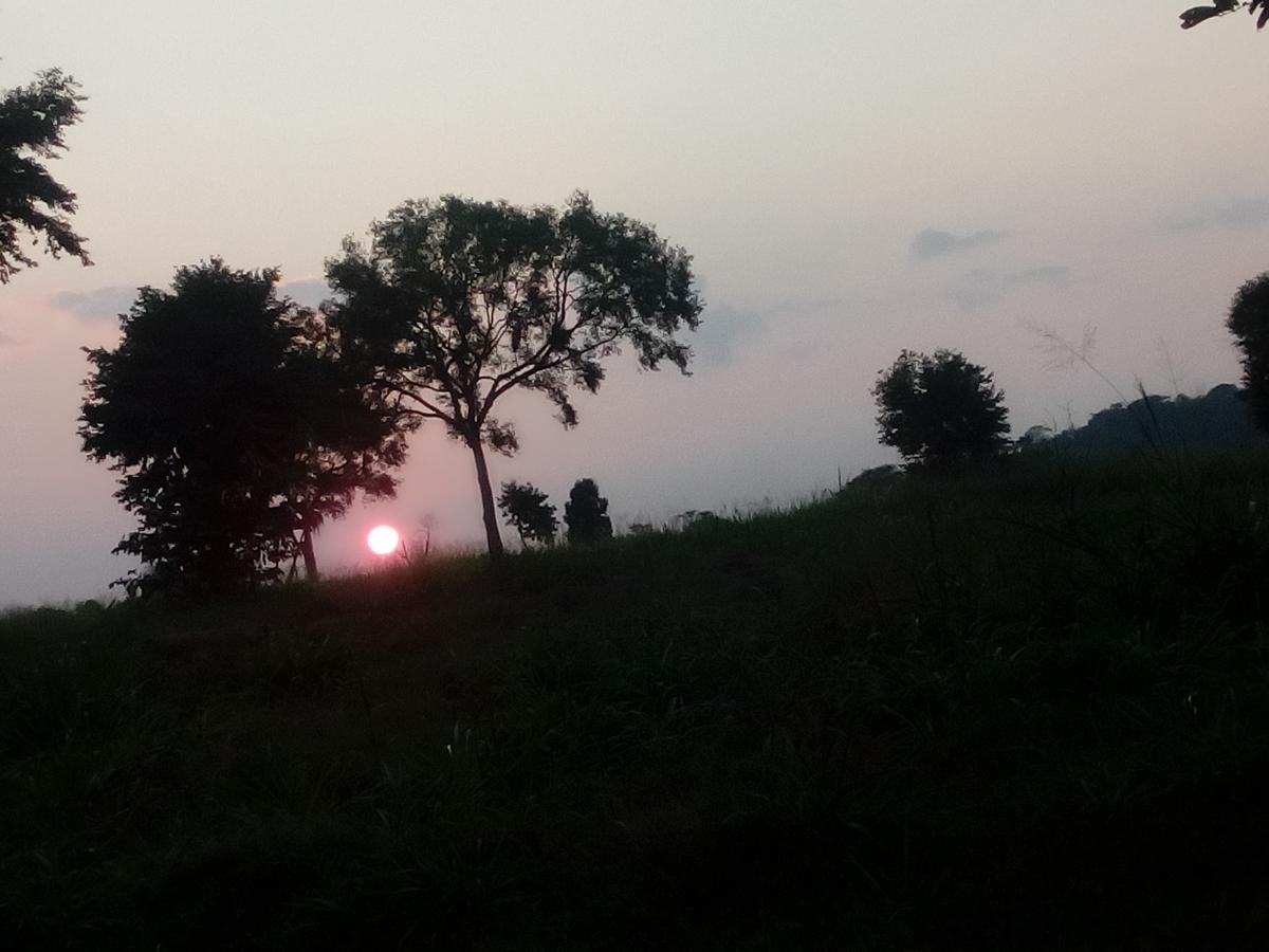 Rock Lake Home Stay Sigiriya Esterno foto